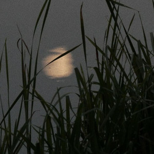 hea2t - 浪漫日落