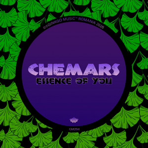 Essence Of You - Radio Mix by Chemars
