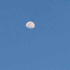 Adonaylob33 - El amor que tengo