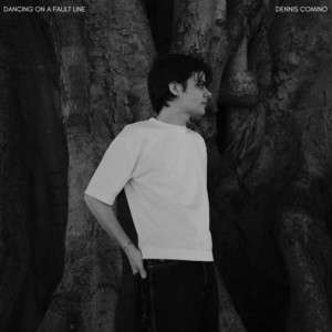 Dancing on a Fault Line by Dennis Comino