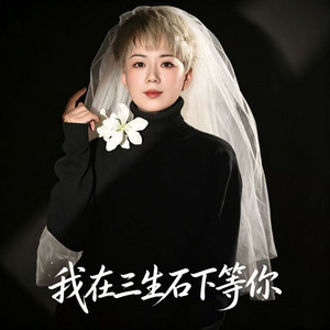 我在三生石下等你 by 王娜