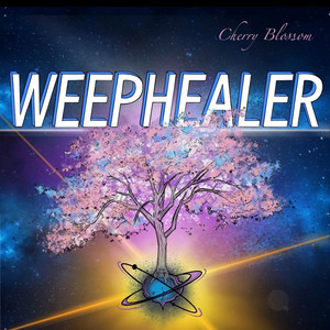 Origami Angel by WeepHealer
