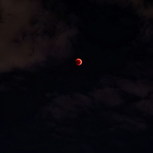 blood moon by Maison Onyx
