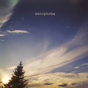 Xenophobe, Jon Claeys, Jim Nicholson & Thomas Price - Dream Is Destiny album artwork
