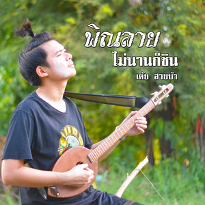 เต้ย สายบ้า - พิณลาย ไม่นานก็ชิน