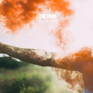 Strange Love by Low Hum