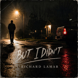 But I Didn't by Richard Lamar