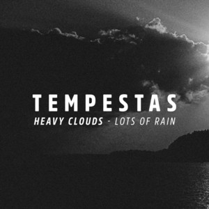 Intense rain on the front porch by Tempestas