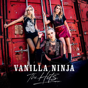 album cover: The Hits