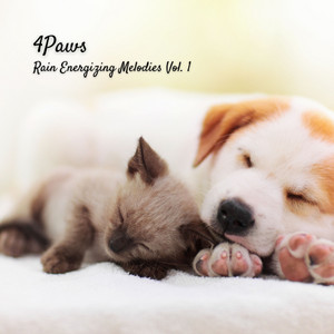 4Paws: Rain Energizing Melodies Vol. 1 album