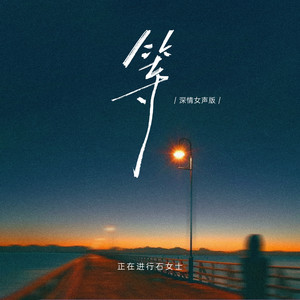 等 - Dj细霖版 by 正在进行石女士, 细霖