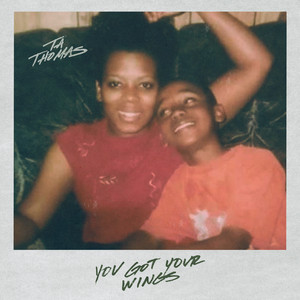 You Got Your Wings by TA Thomas
