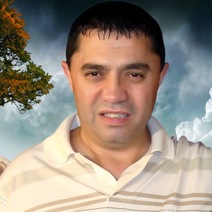 Nicolae Guță - Trandafirul