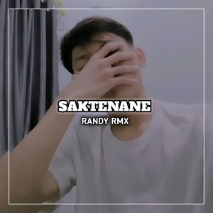RANDY RMX - Saktenane