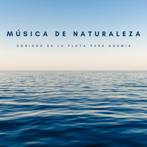Música De Naturaleza: Sonidos De La Playa Para Dormir album