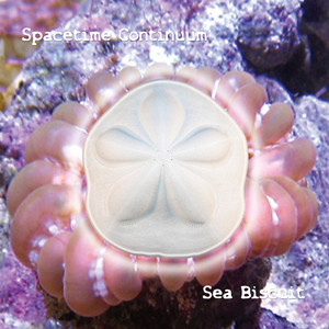 Floatilla by Spacetime Continuum
