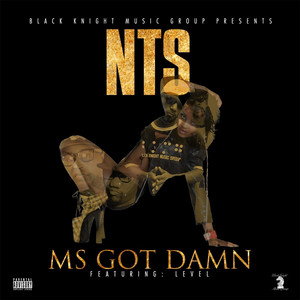 Ms. Got Damn (feat. Level) by N.T.S, Level