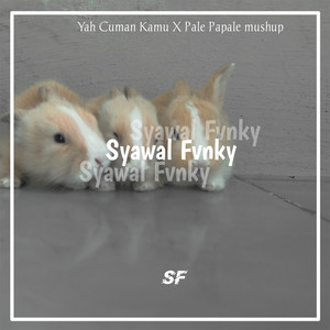 Syawal Fvnky - Yah Cuman Kamu / Pale Pappale mushup