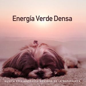 Energía Verde Densa
