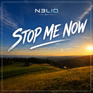 Stop Me Now - Radio Edit by N3LIO