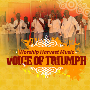 Voice of Triumph cover
