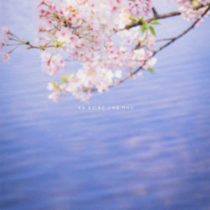 A spring without its flowers folds its sleeves by Swing, CHOI, Yundal