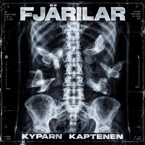 FJÄRILAR by KYPARN, Kaptenen