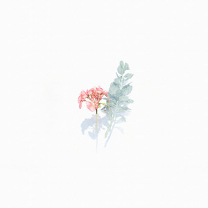 Sow by Write Home