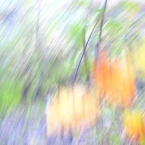 Maybe in the summer by reverie, A Rehearsal For Retirement