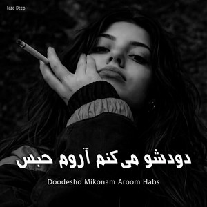 اهنگ دودشو میکنم آروم حبس by Faze Deep