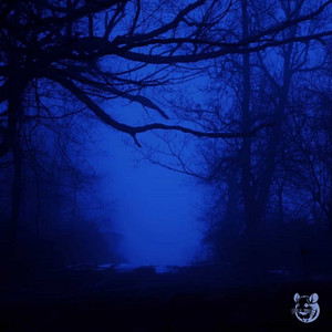 Low Battery Dreams by APFP, December50