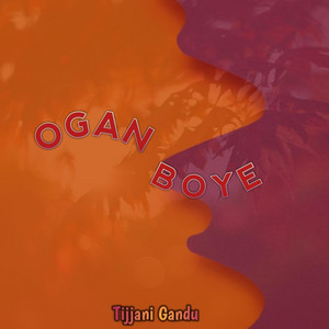 Tijjani Gandu TV - Ogan Boye