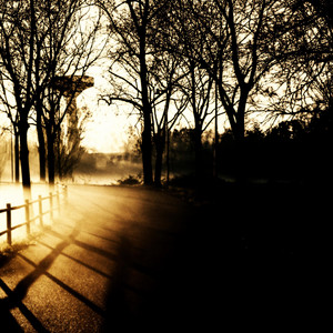 Moving Shadows by Twisted Psykie