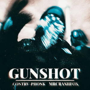 MrCrashFox — Gunshot