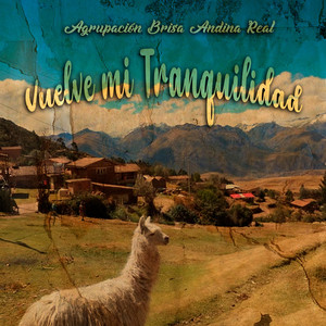 Vuelve mi Tranquilidad by Agrupación Brisa Andina Real