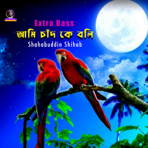 Shahabuddin Shihab - Ami Chad Ke Boli (Hall Reverb)