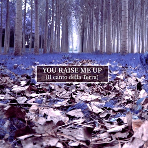 You Raise Me Up (Il canto della Terra) [feat. Stefania Miotto & Maurizio Camardi] [Radio Edit]
