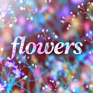 Flowers - Acoustic by AuraMas