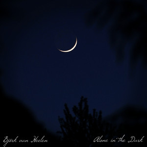 Alone in the Dark by Björk van Heelen