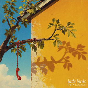 Little Birds by The Wildwoods