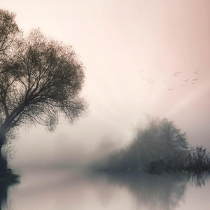 Soft Loop by EddiWho