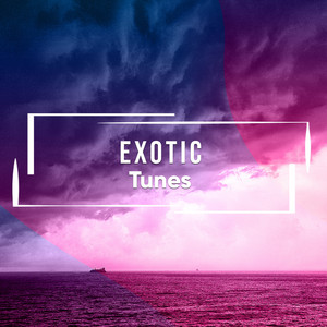 # 1 A 2019 Album: Exotic Tunes album