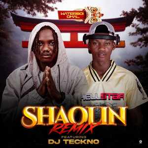 SHAOLIN REMMIX by Waterboi Omal, DJ TECKNO