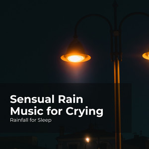 Mellifluous Drizzles – Musik und Lyrics von Rainfall For Sleep ...