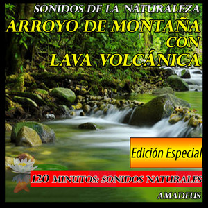 Sonidos de la Noche: Sonidos Naturales - Bonus Track by Amadeus