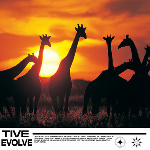 Evolve by Tive