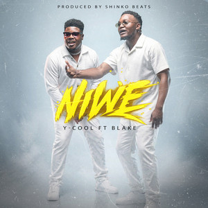 Niwe by Y-cool, Blake
