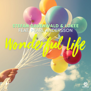Wonderful Life (feat. Pearl Andersson) [Radio Edit]