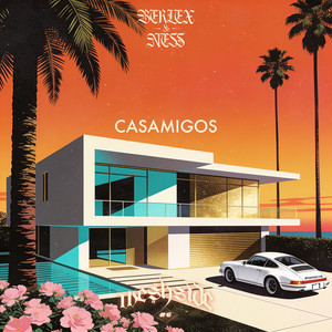 WE$HSIDE #6 - CASAMIGOS by Berlex & Ness