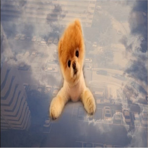 Ysleek - Don't make the dog bark